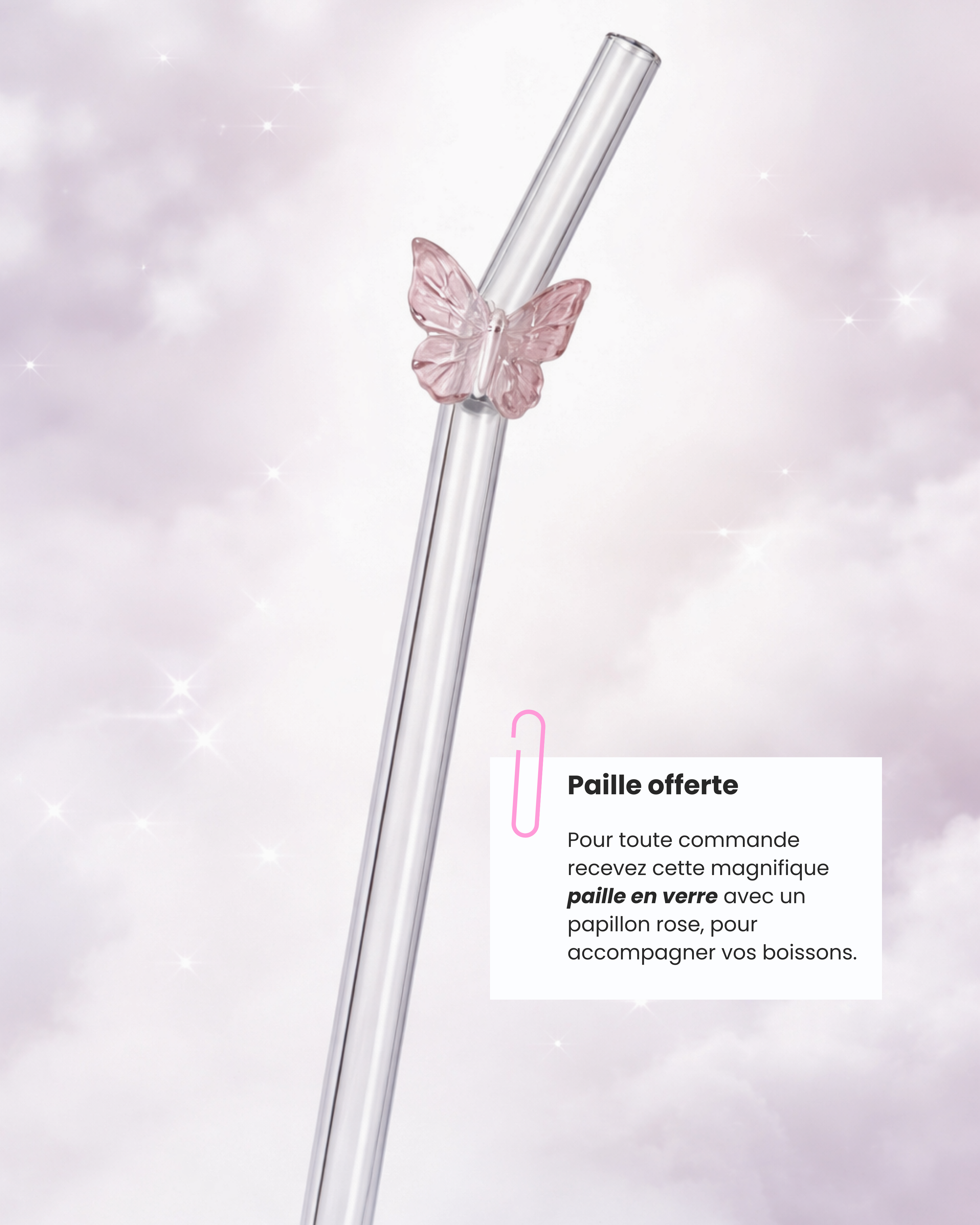 Ube premium 50 g – Pur Ube en poudre